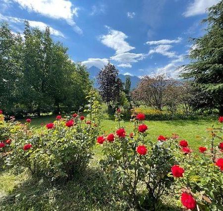 La Vigna Bed and Breakfast Αόστα Εξωτερικό φωτογραφία